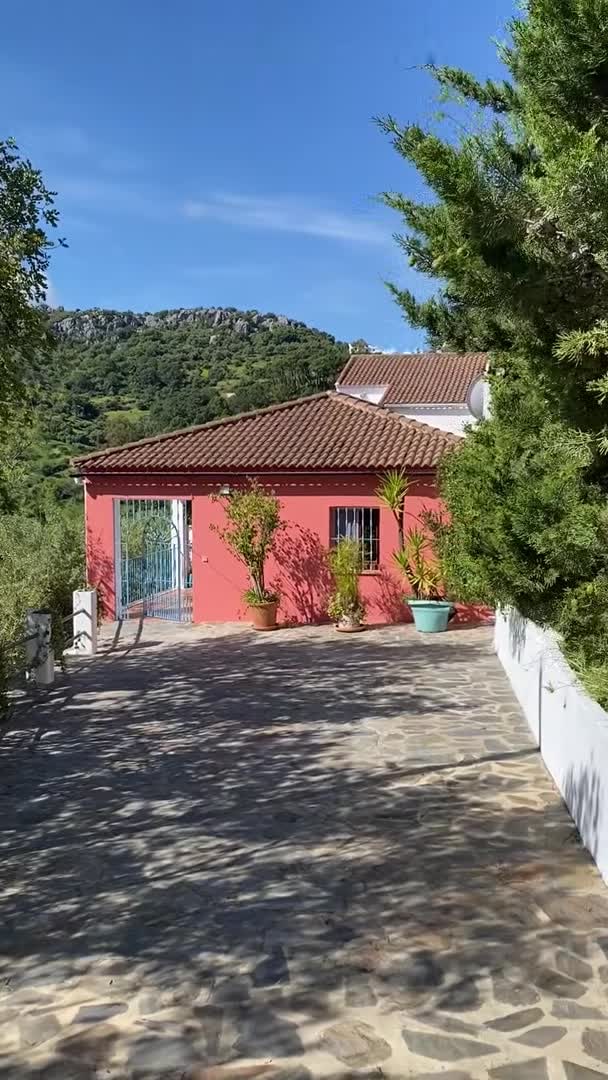 Property video