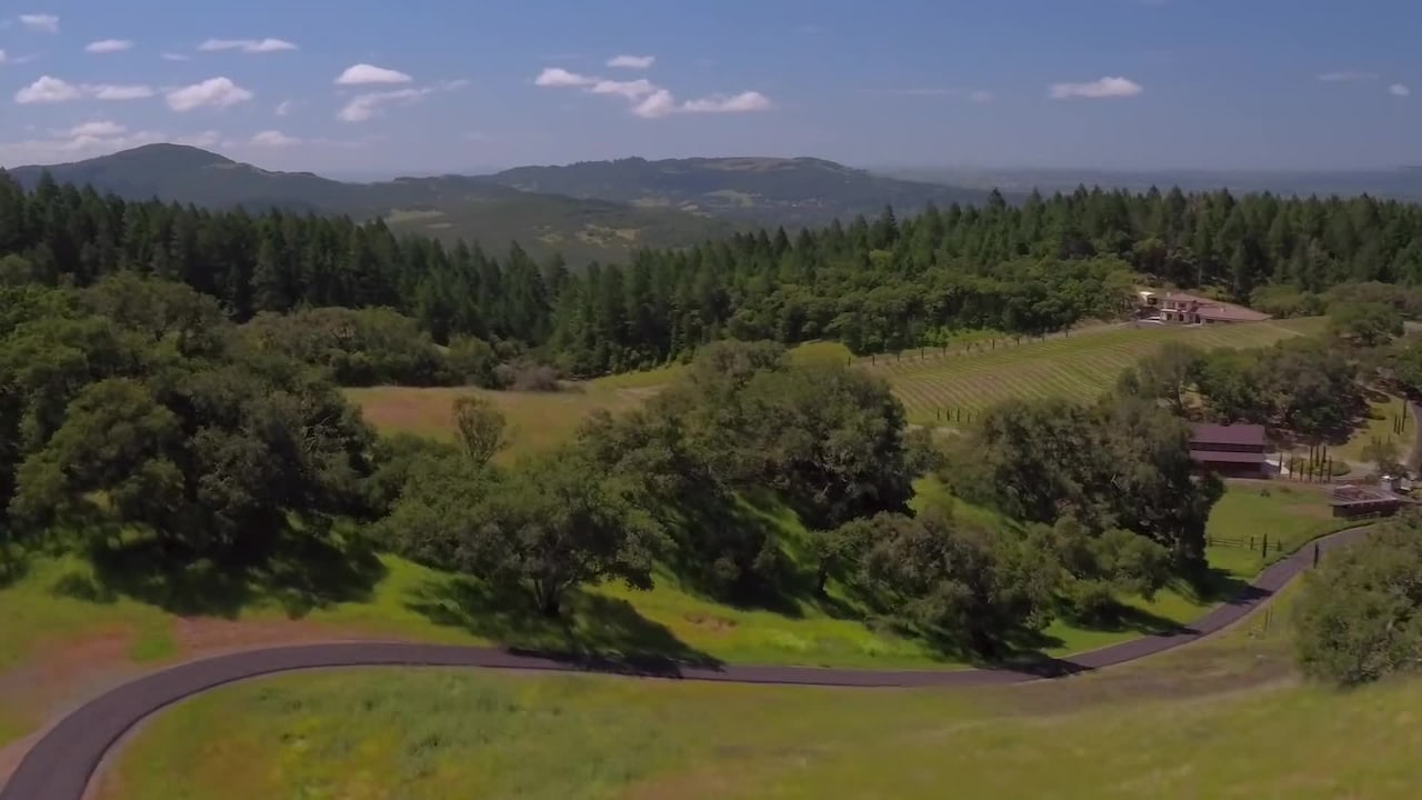 Property video