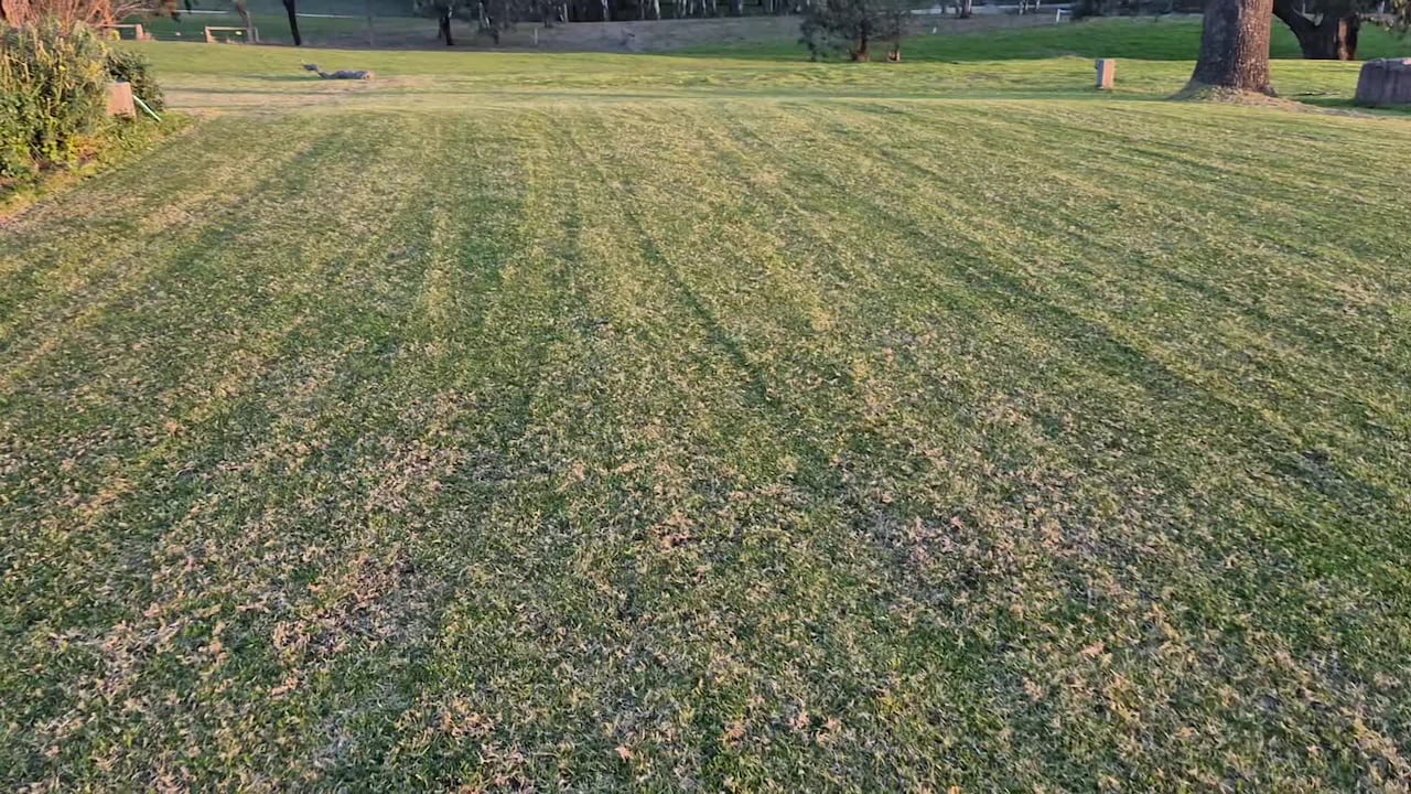 Video realizado por la propiedad