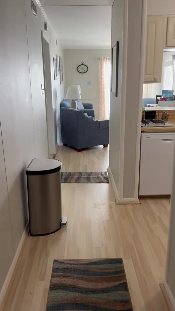 Property video
