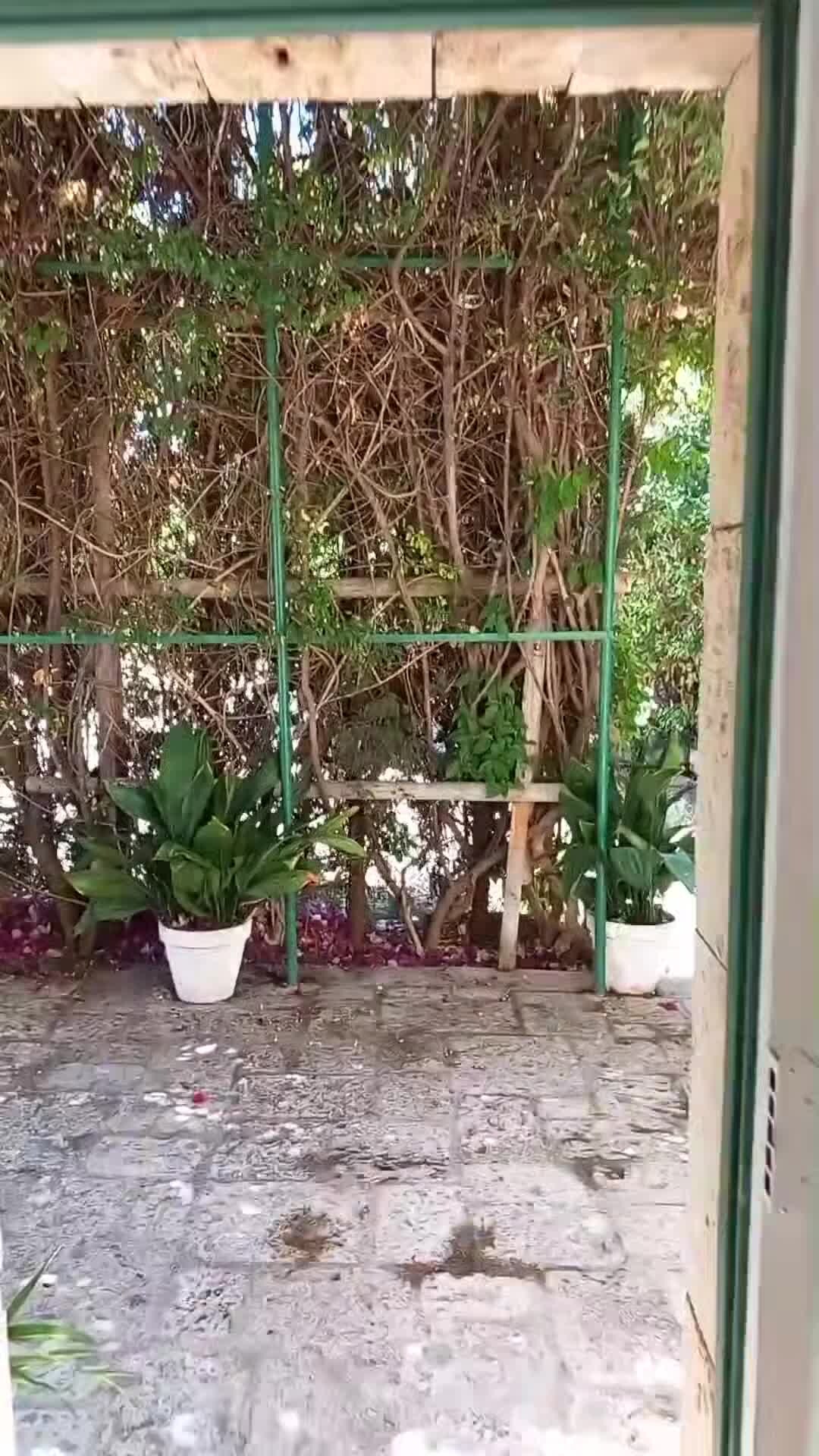 Video der Unterkunft
