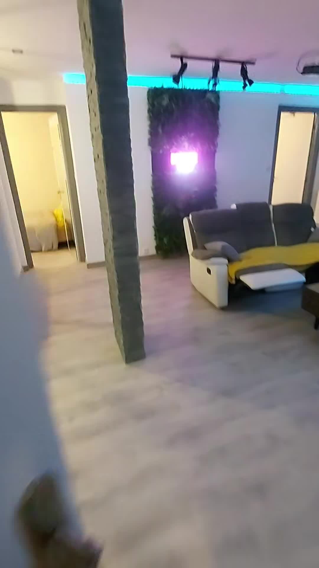Video realizado por la propiedad