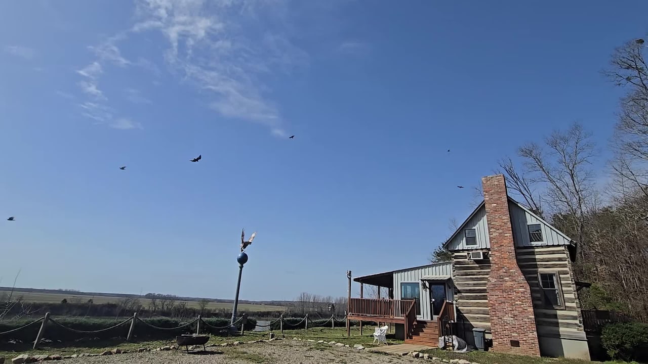 Video struttura