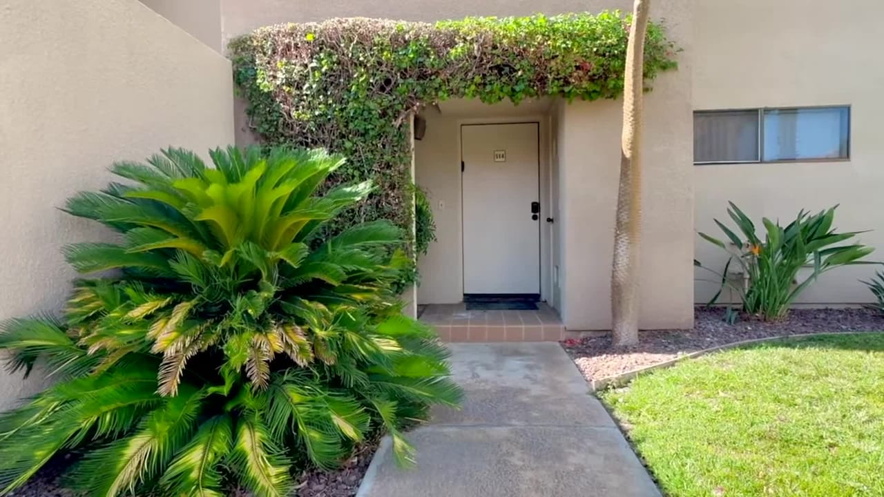 Property video