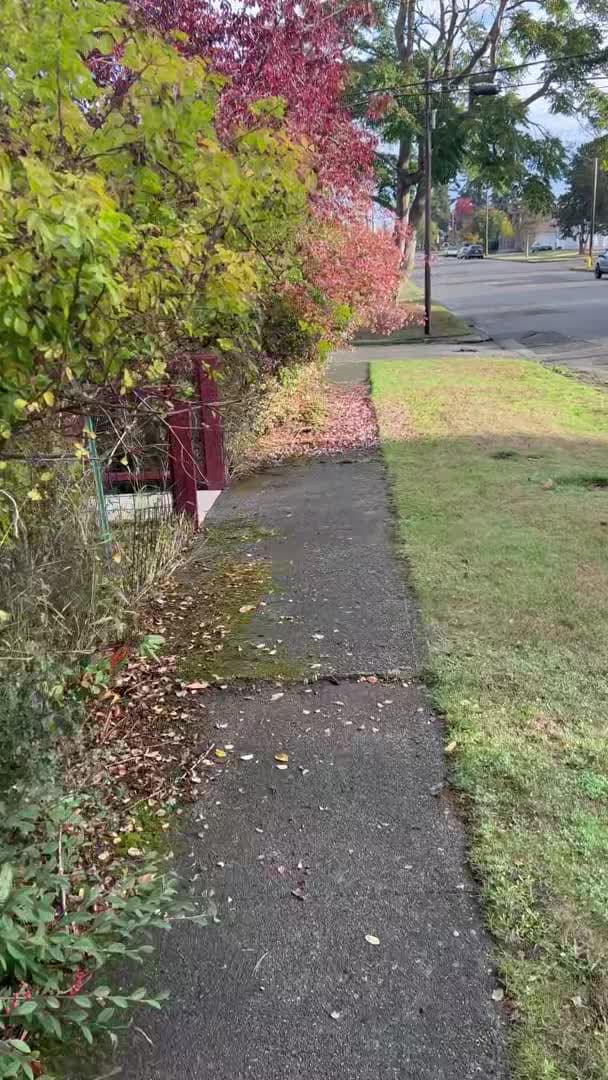 Video der Unterkunft