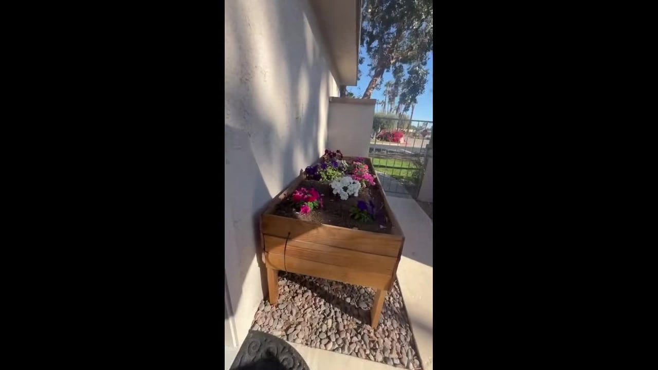 Property video