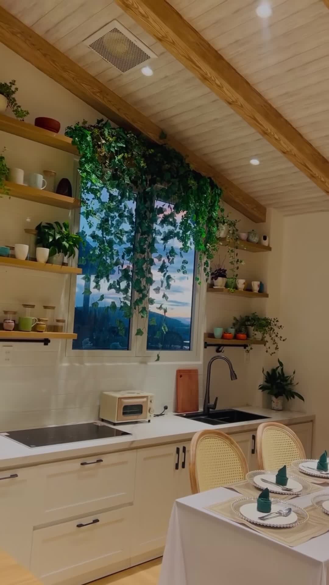 Property video