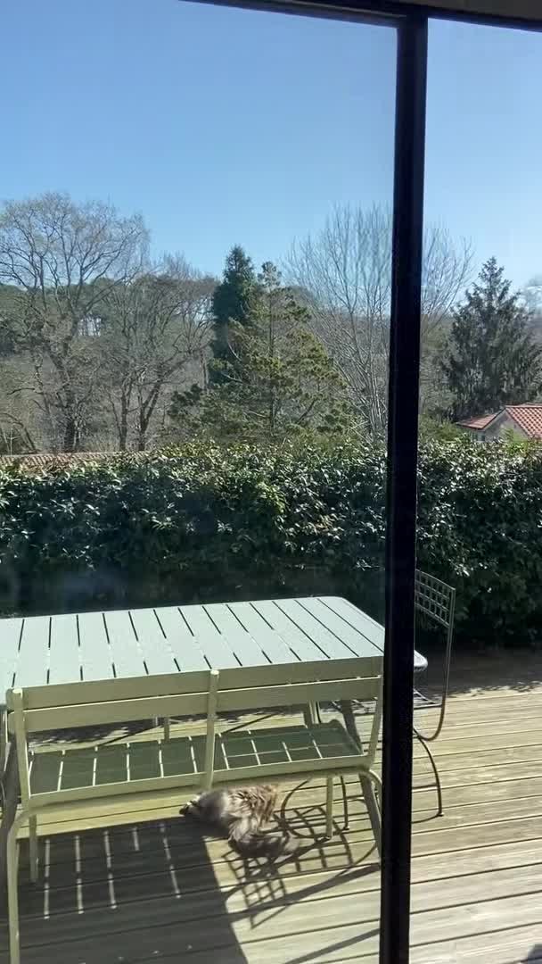 Vídeo hecho por el alojamiento