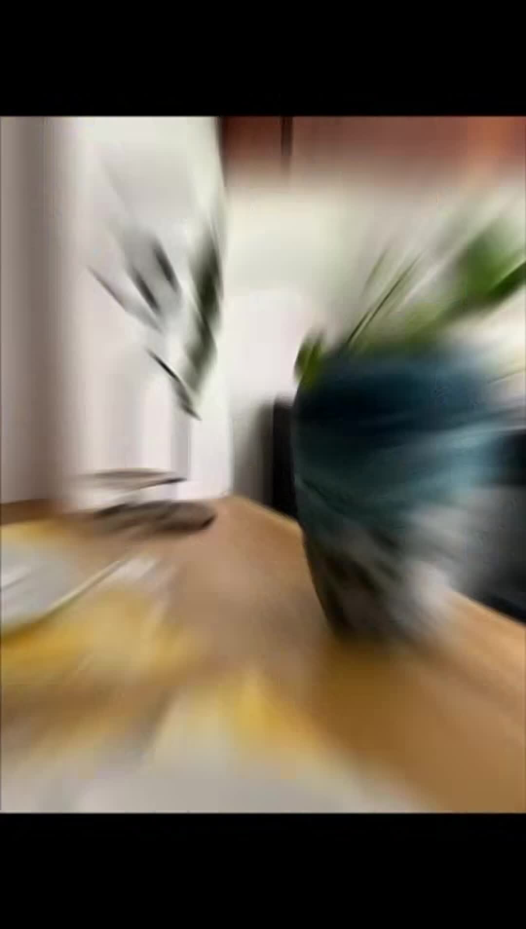 Video der Unterkunft