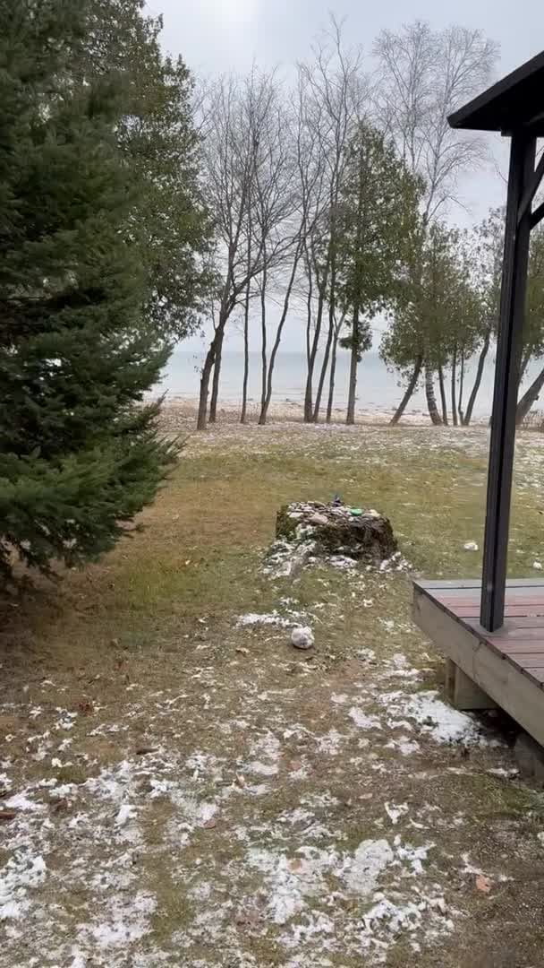 Video realizado por la propiedad