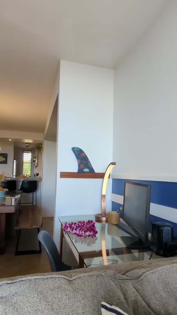 Property video
