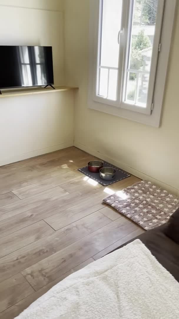 Video realizado por la propiedad