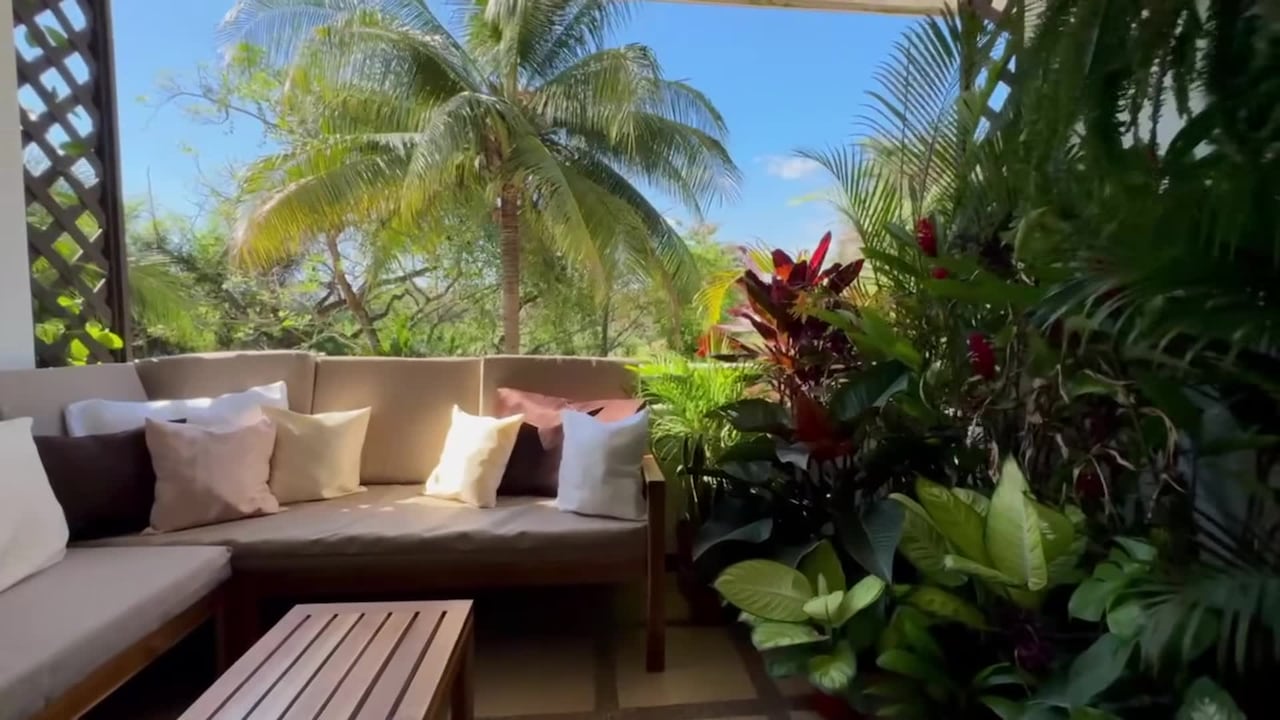 Property video