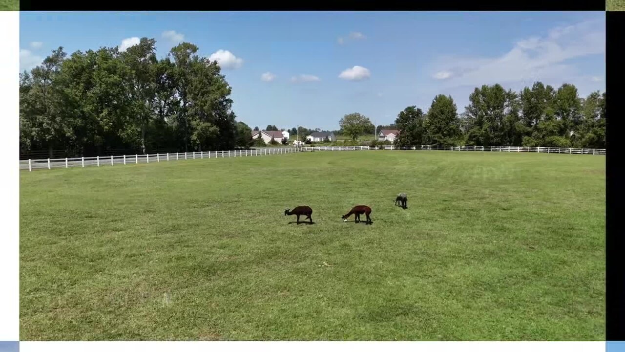 Property video