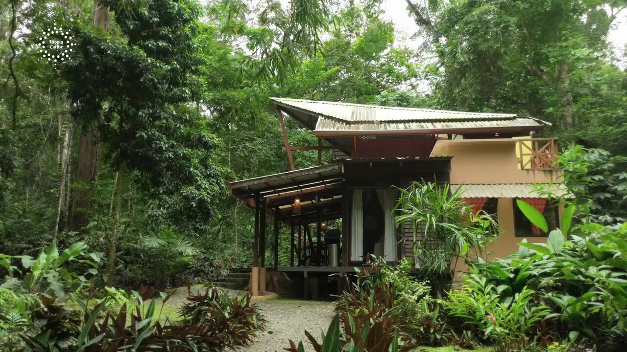 Property video