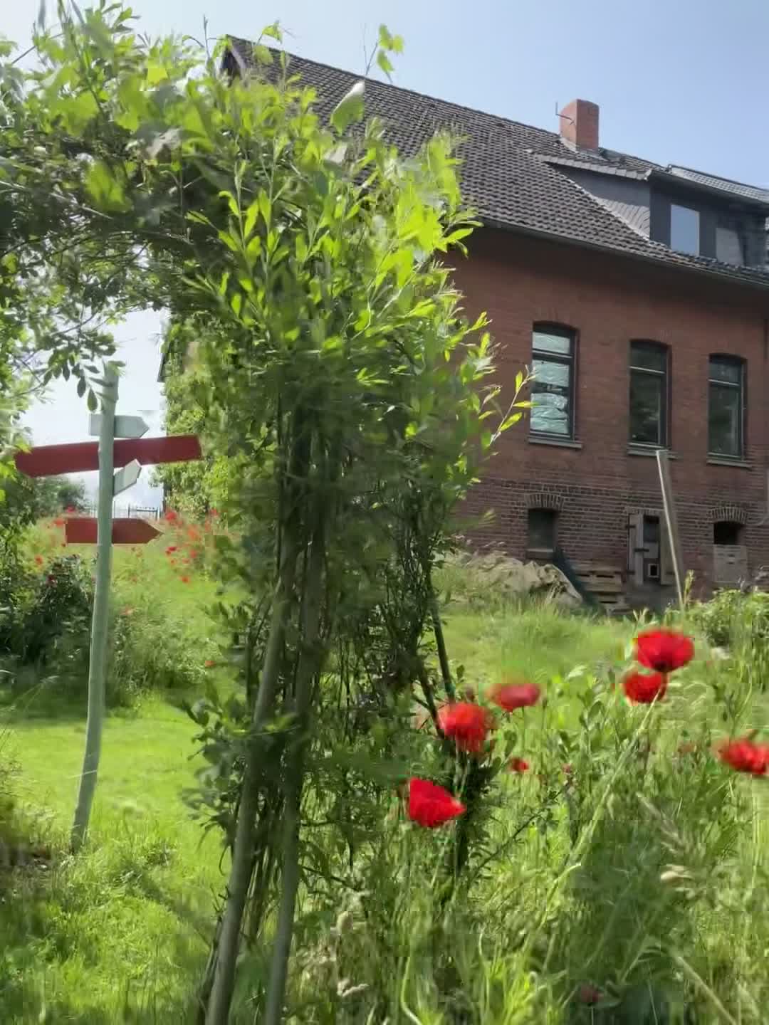 Property video