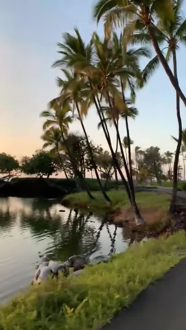 Property video