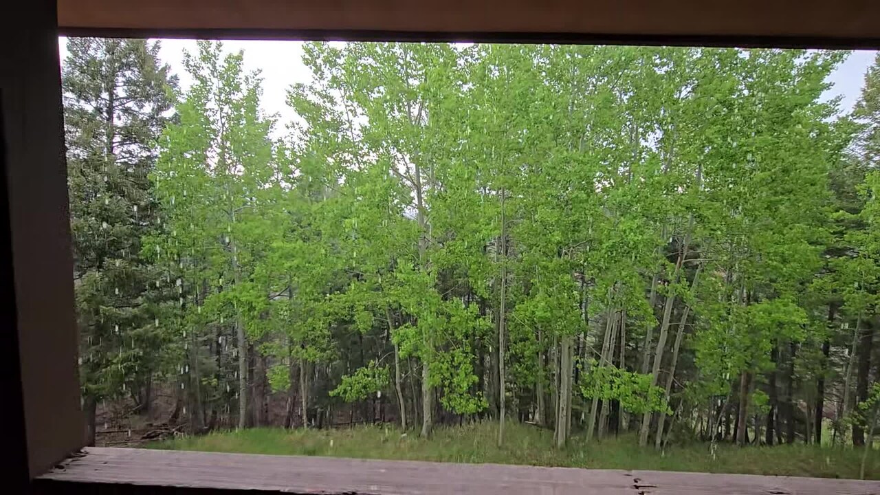 Video realizado por la propiedad