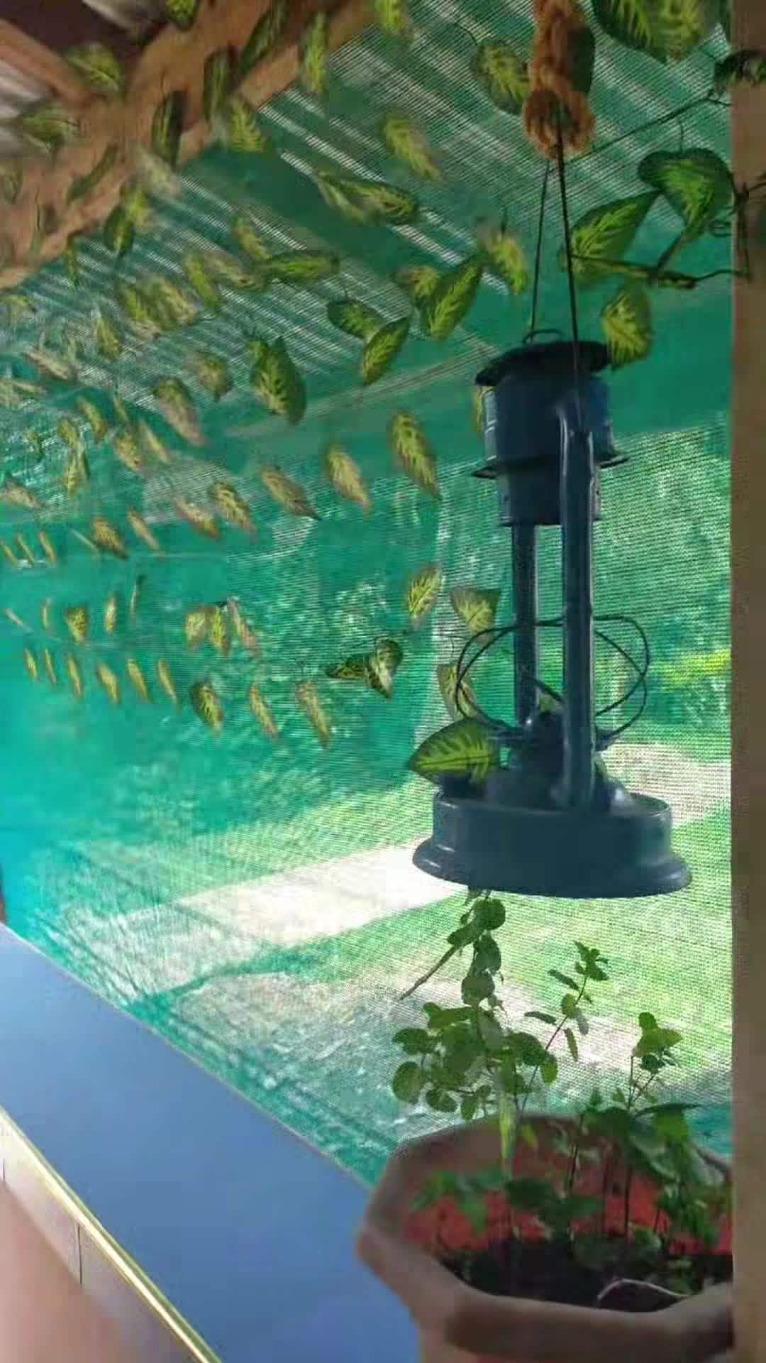 فيديو المنشأة الفندقية