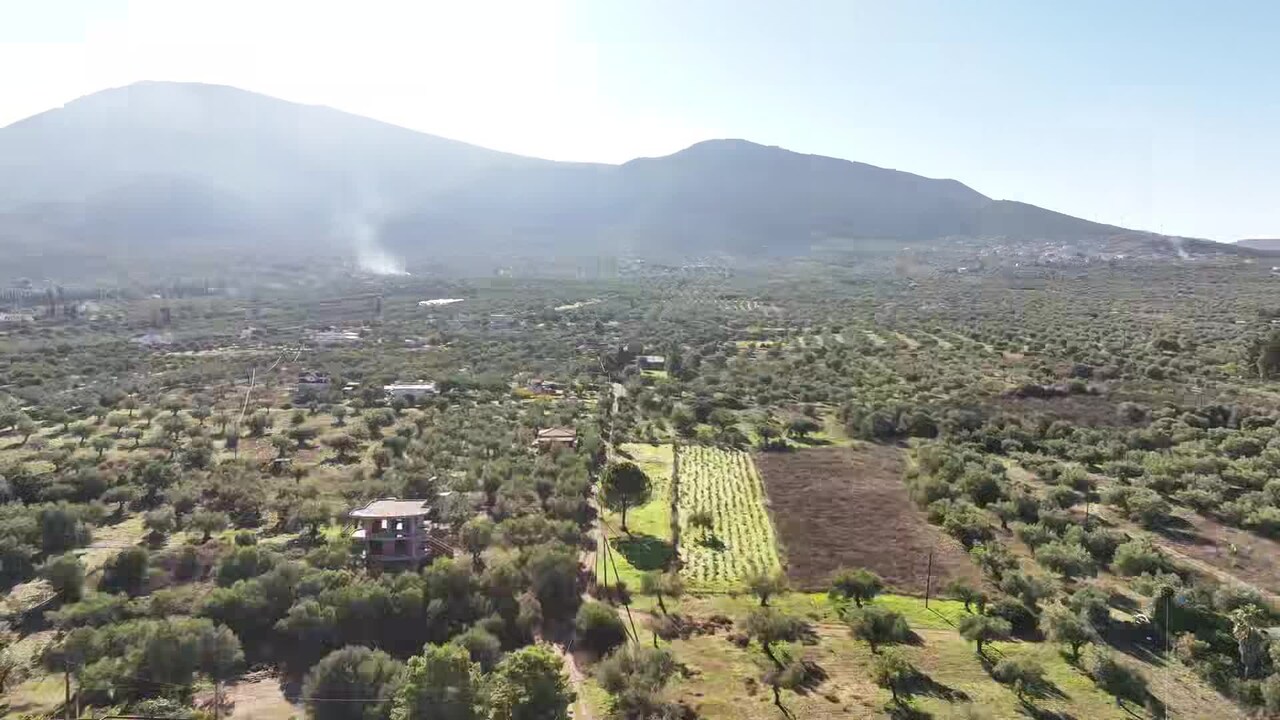 Video realizado por la propiedad