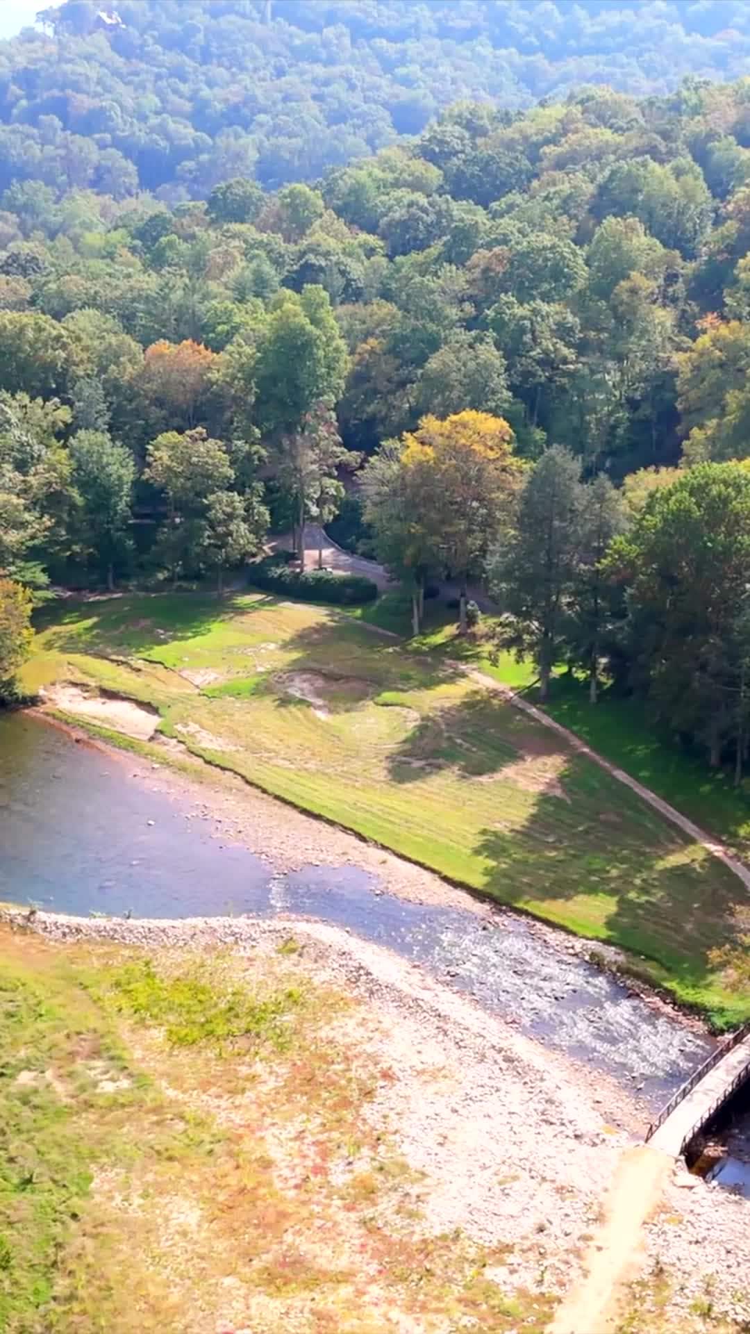 Video realizado por la propiedad