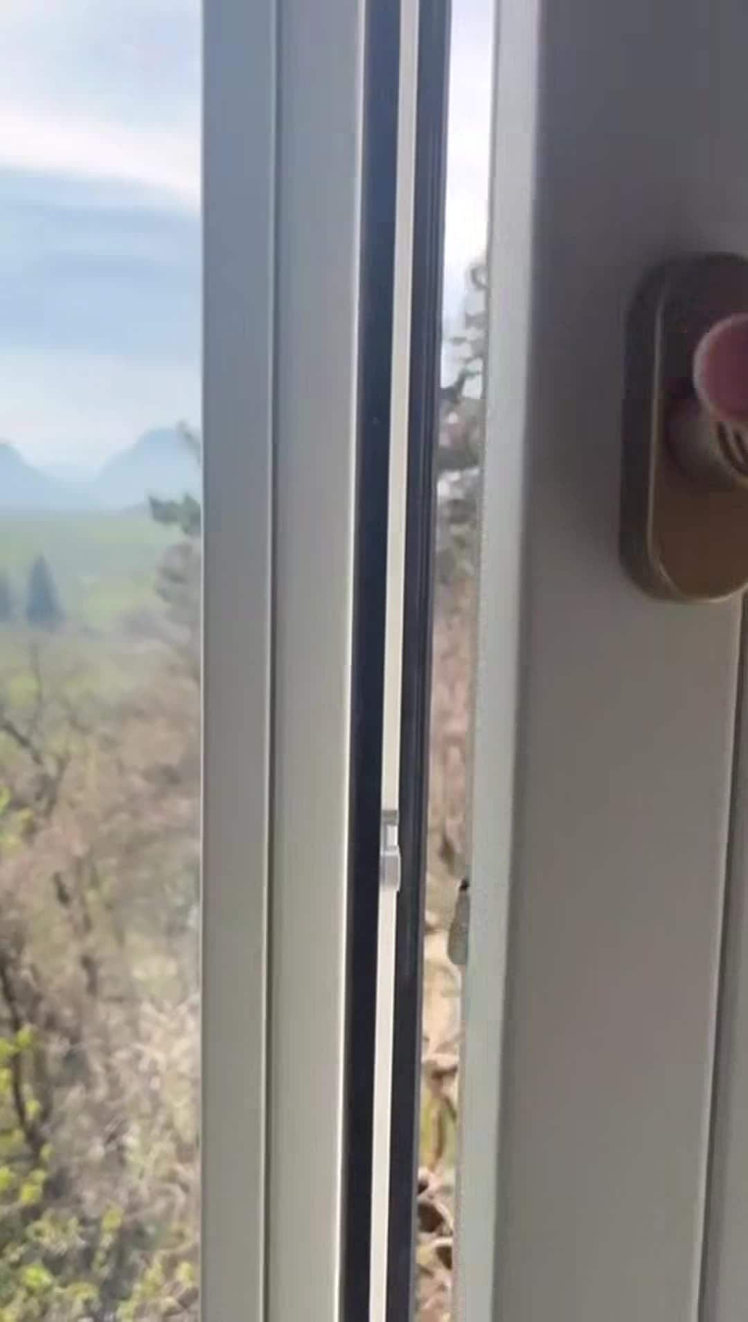 Video der Unterkunft