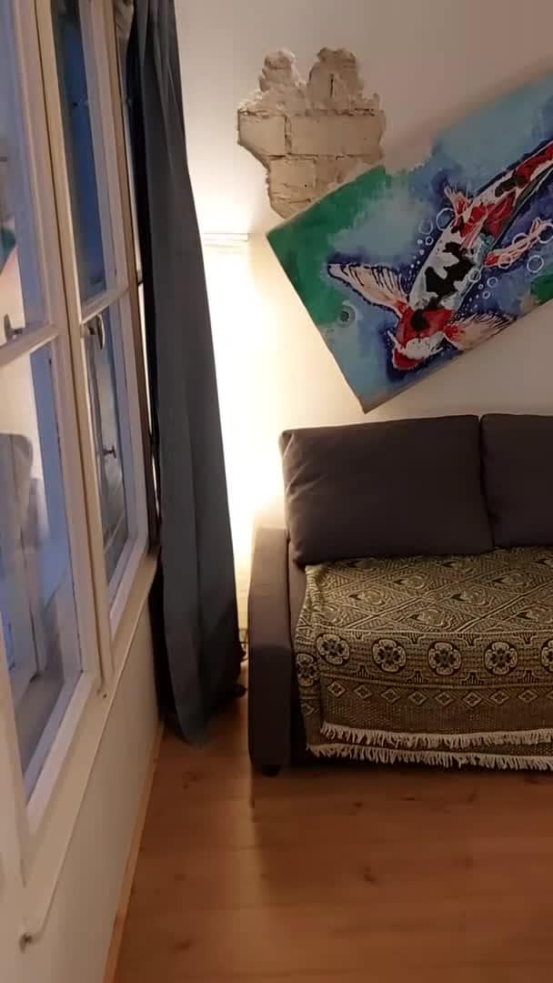 Property video