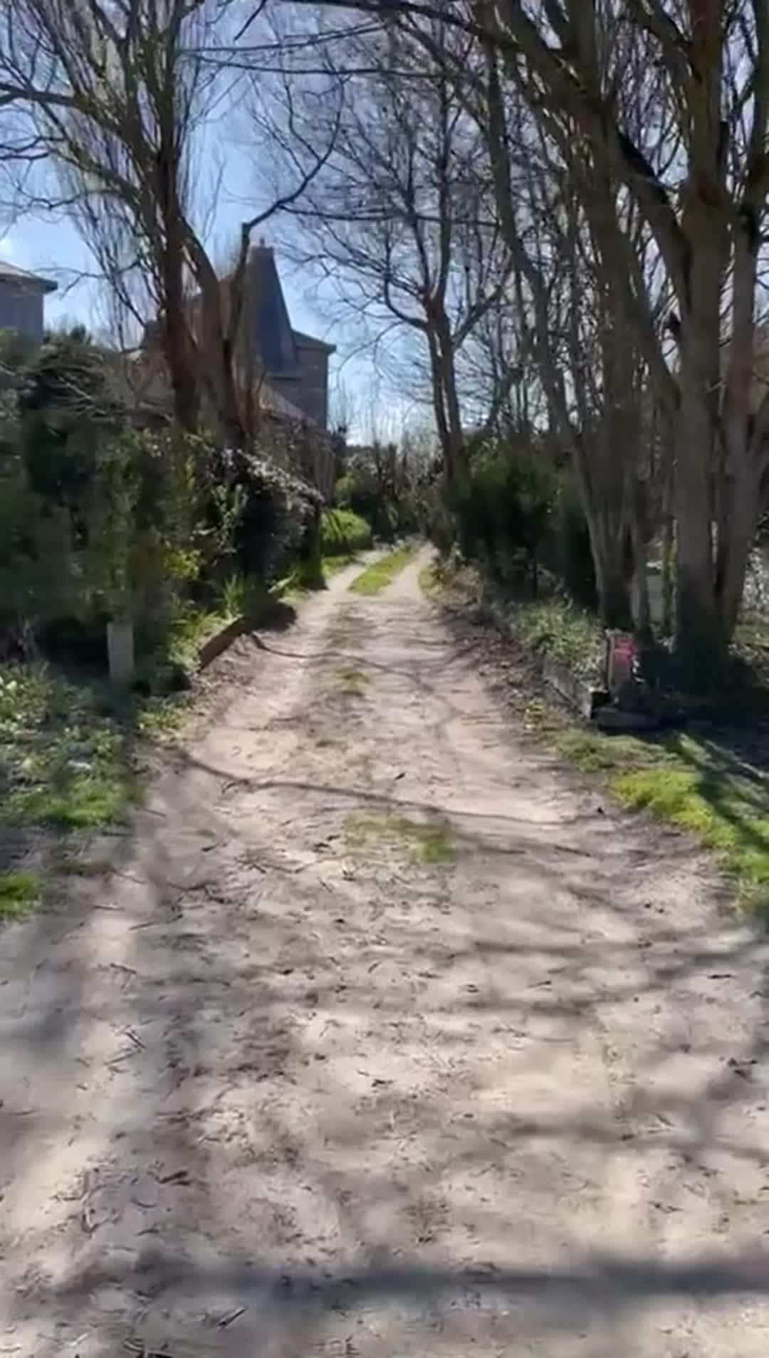Video realizado por la propiedad