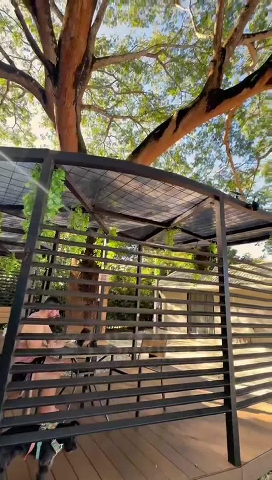 Video realizado por la propiedad