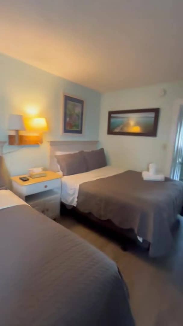Video van accommodatie