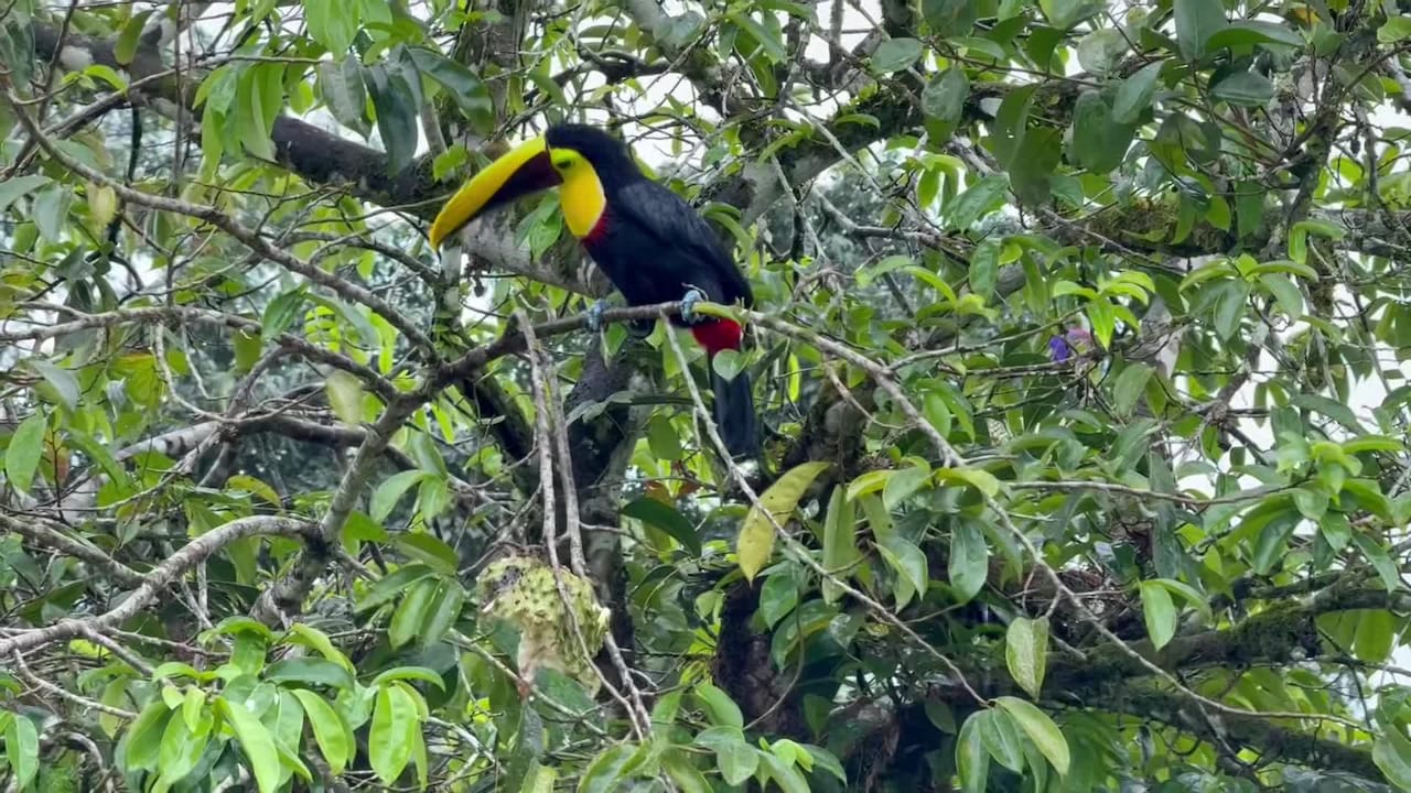 Video van accommodatie