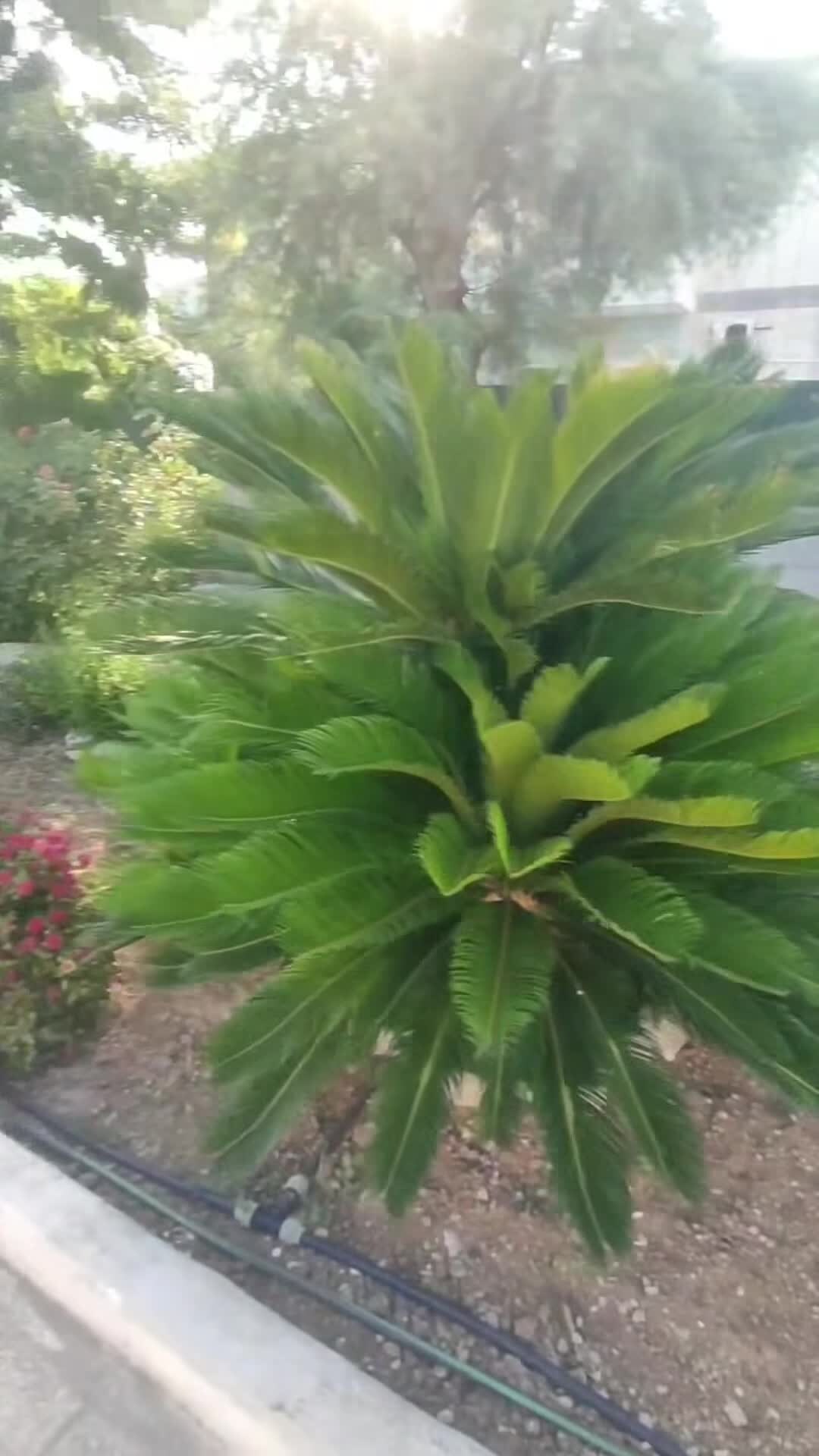 Vidéo de l’hébergement