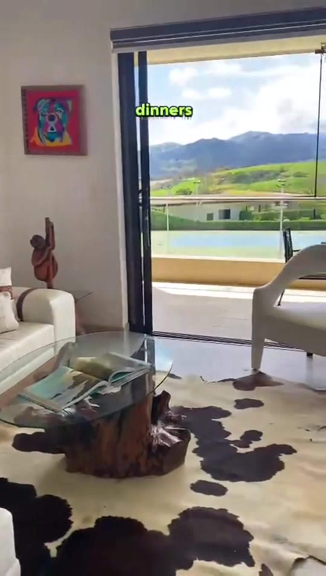 Property video