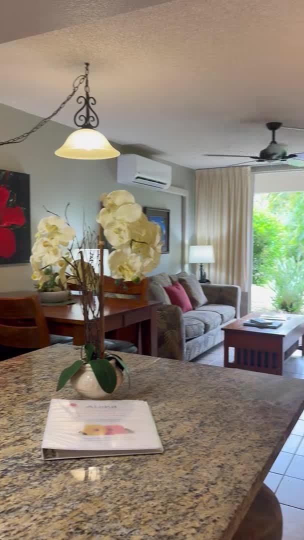 Property video