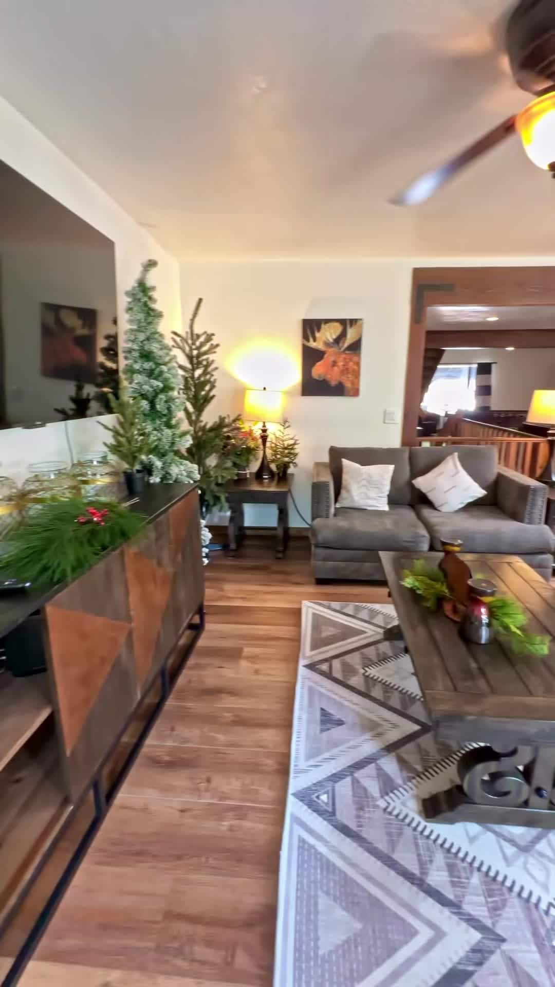 Property video
