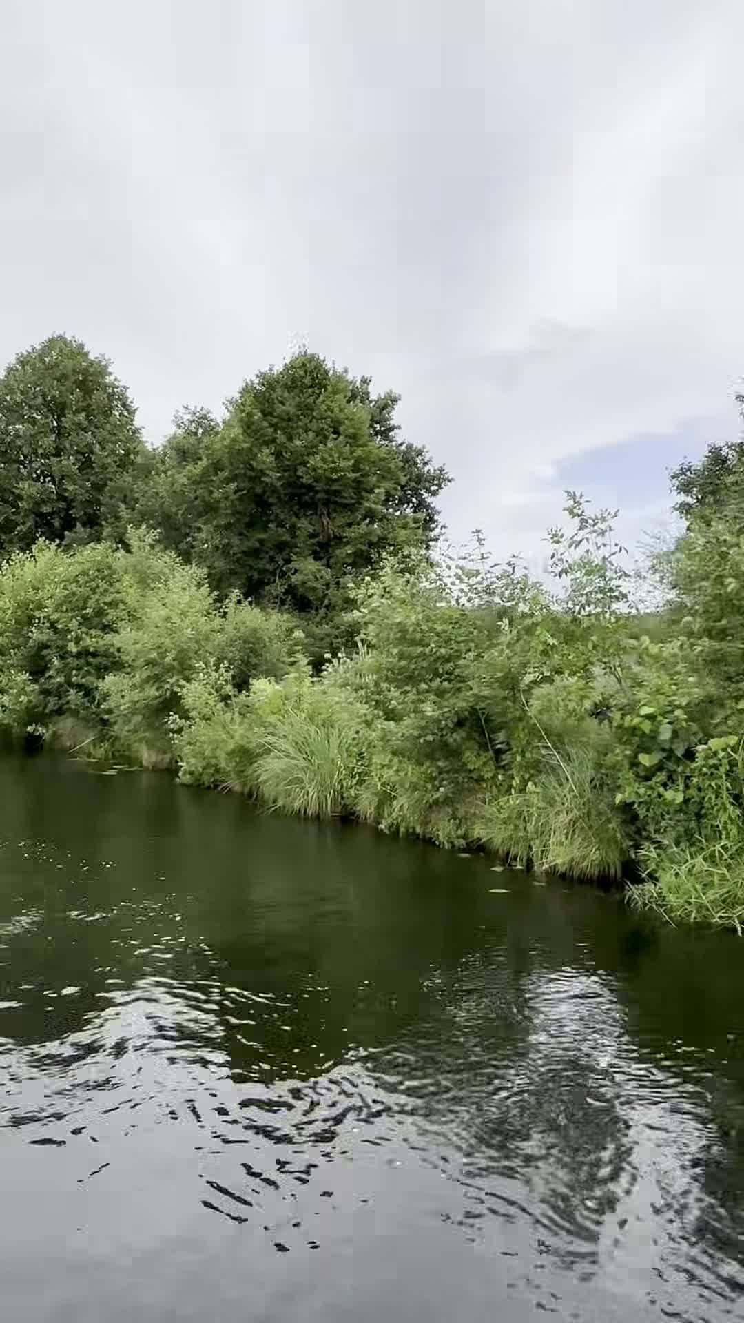 Video der Unterkunft