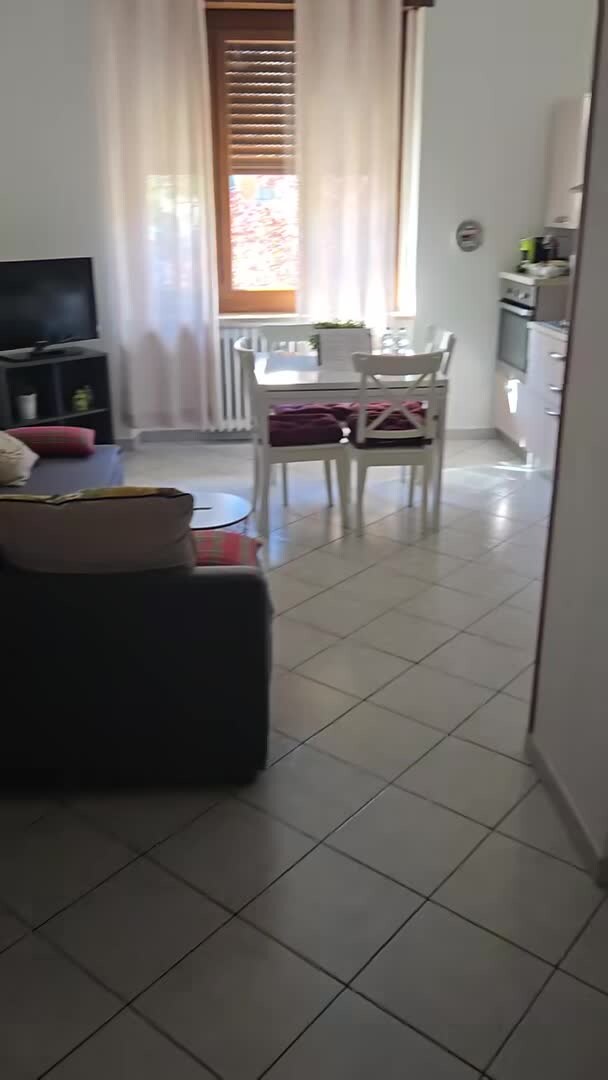 Video realizado por la propiedad