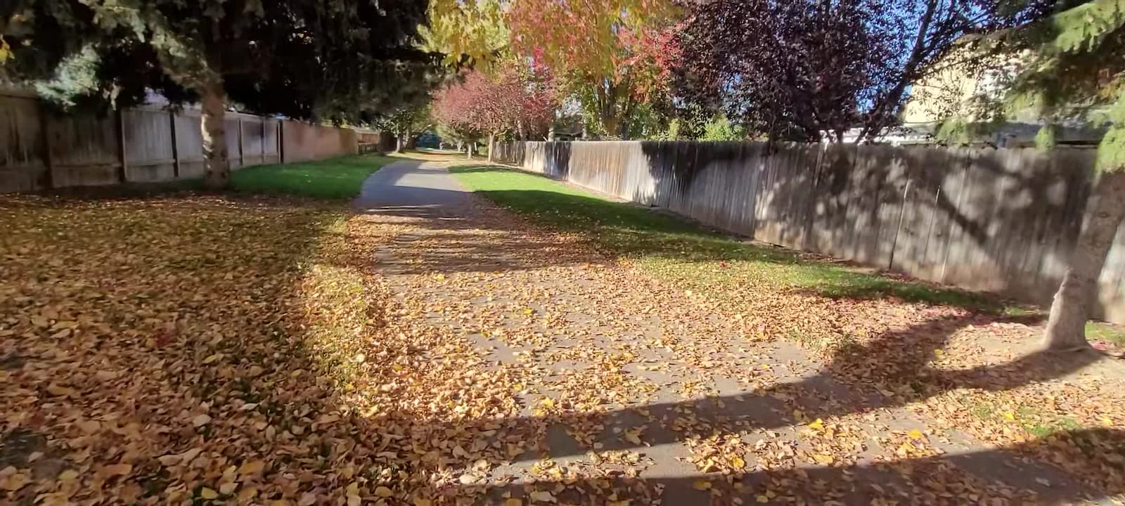 VidĂ©o de lâhĂ©bergement