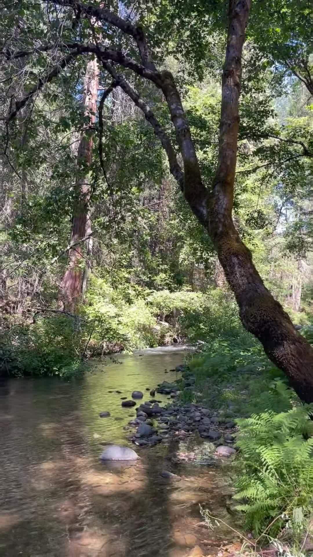 Video realizado por la propiedad