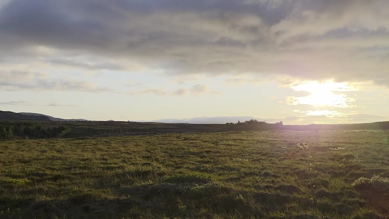 Property video