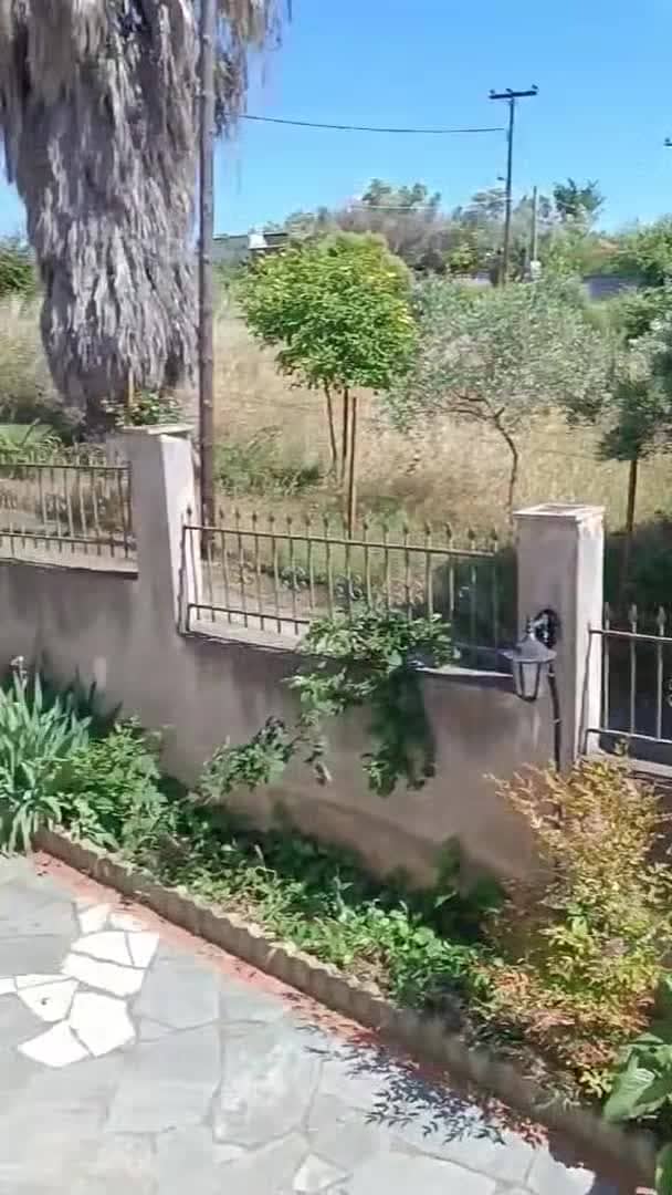 Property video