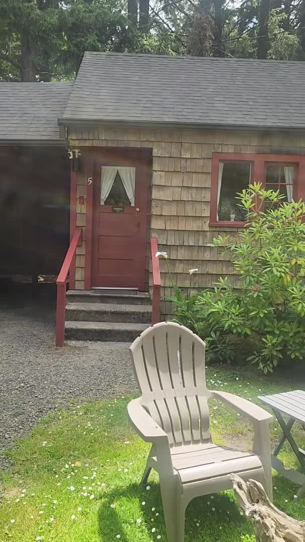 Property video
