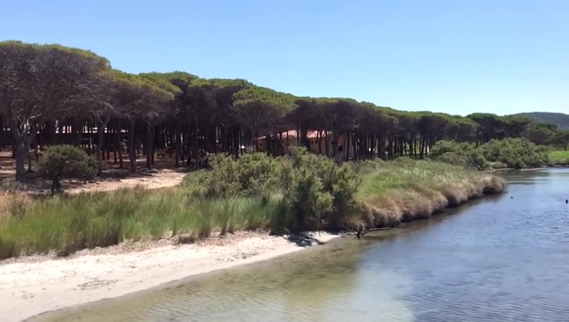 Property video