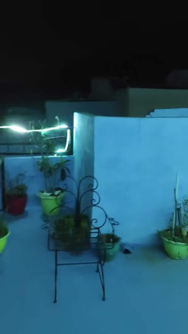 Video realizado por la propiedad