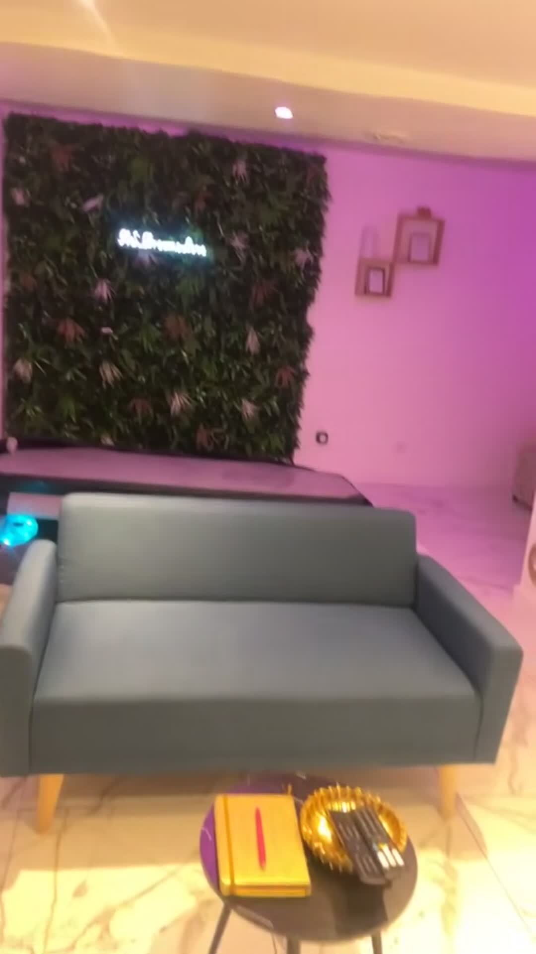Property video