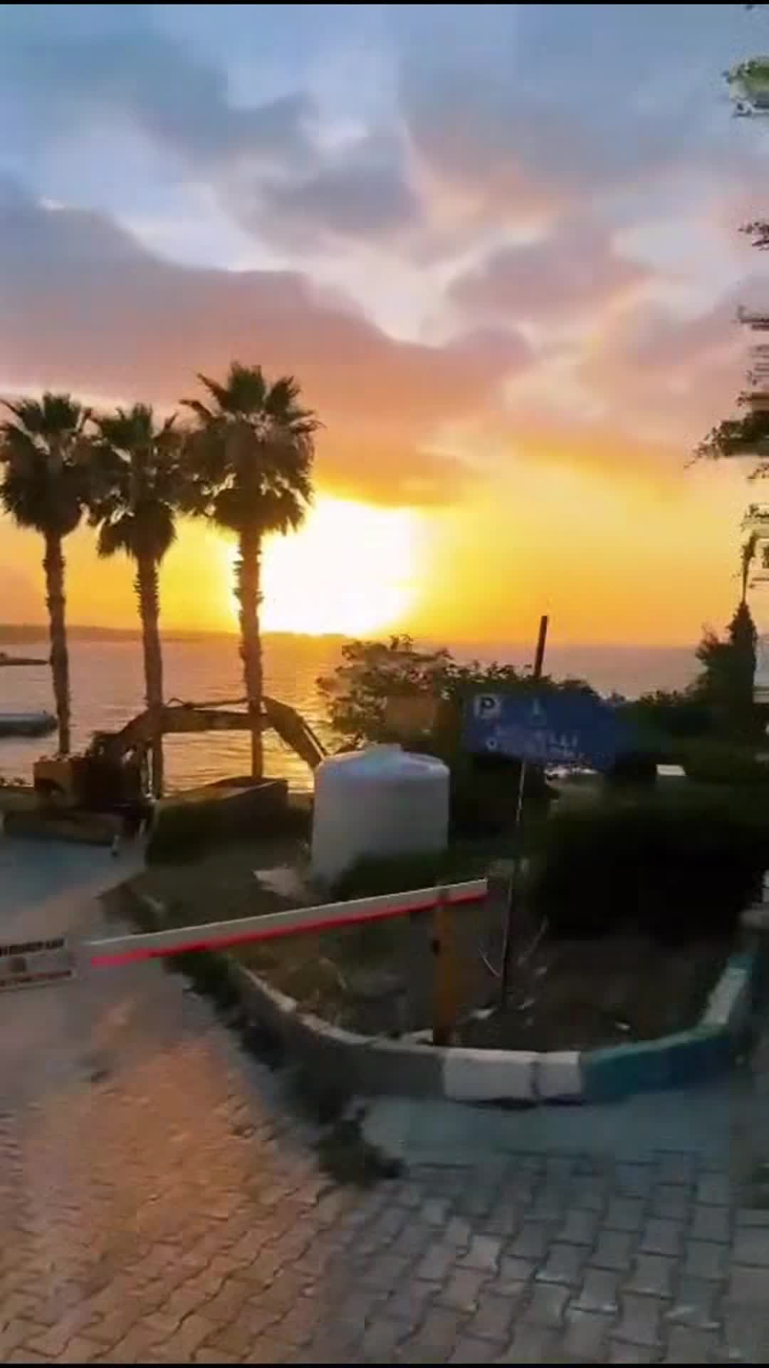 Property video