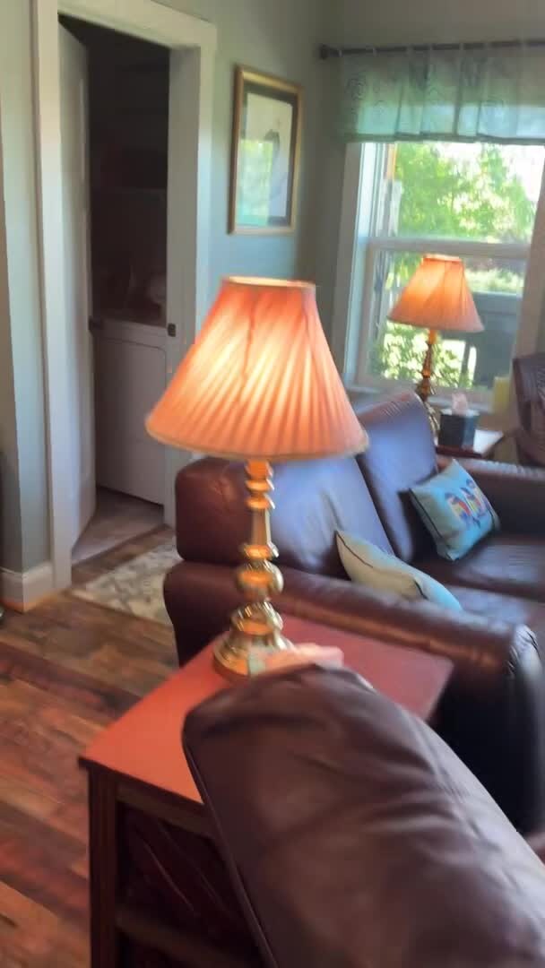 Property video