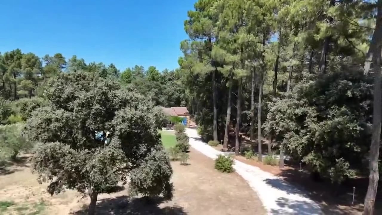 Property video