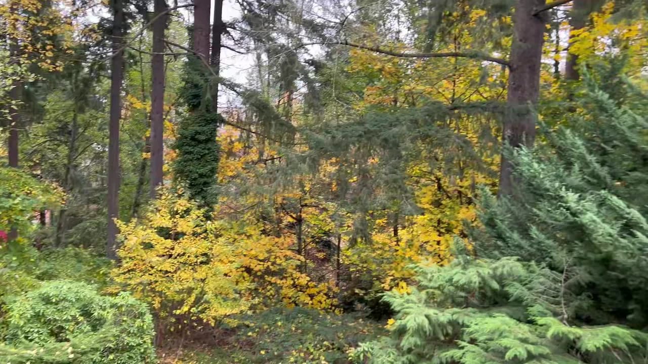 فيديو المنشأة الفندقية