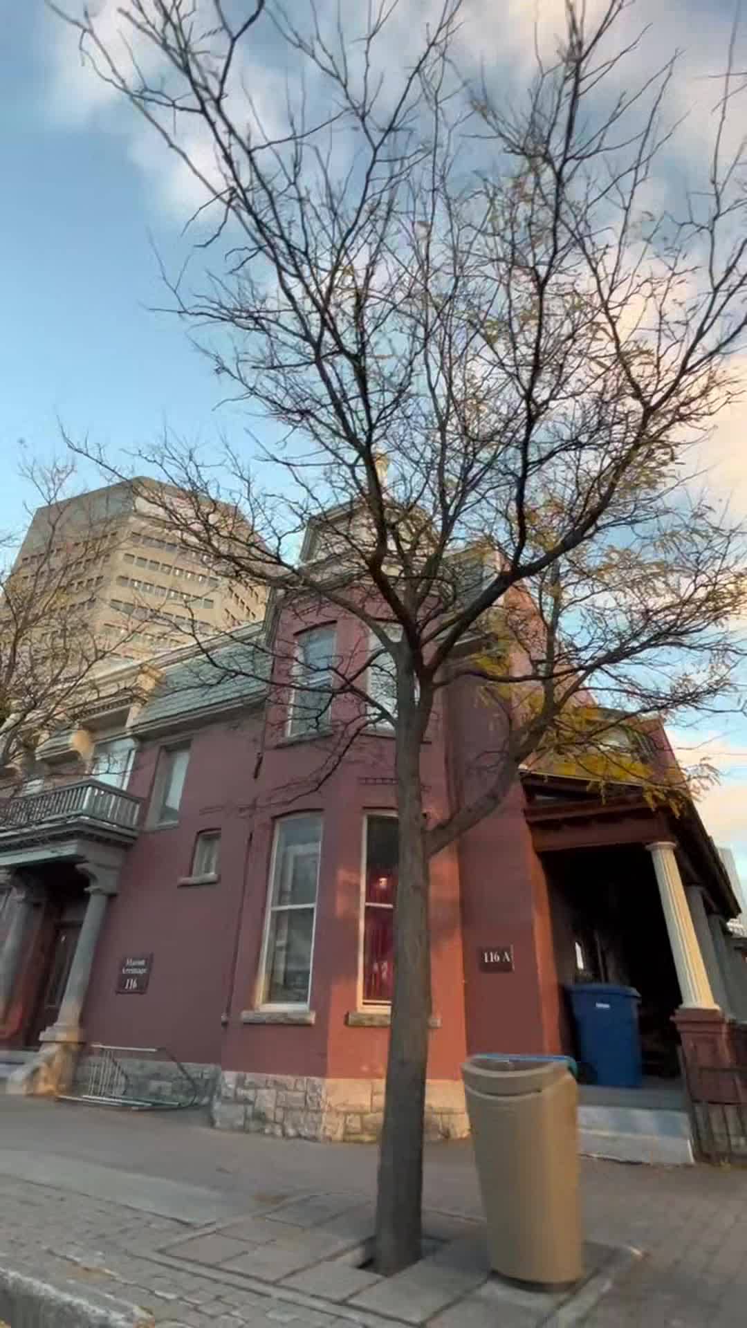 Video realizado por la propiedad